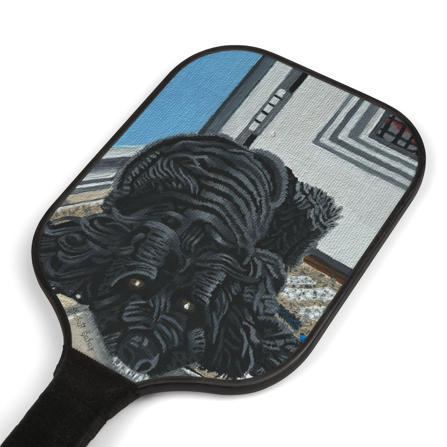 Rocky Chilling On A Corner | Pickleball Kit