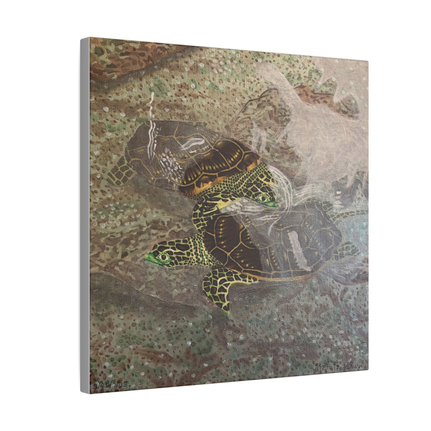 Turtles Budding Each Other | Matte Canvas, Stretched, 0.75"