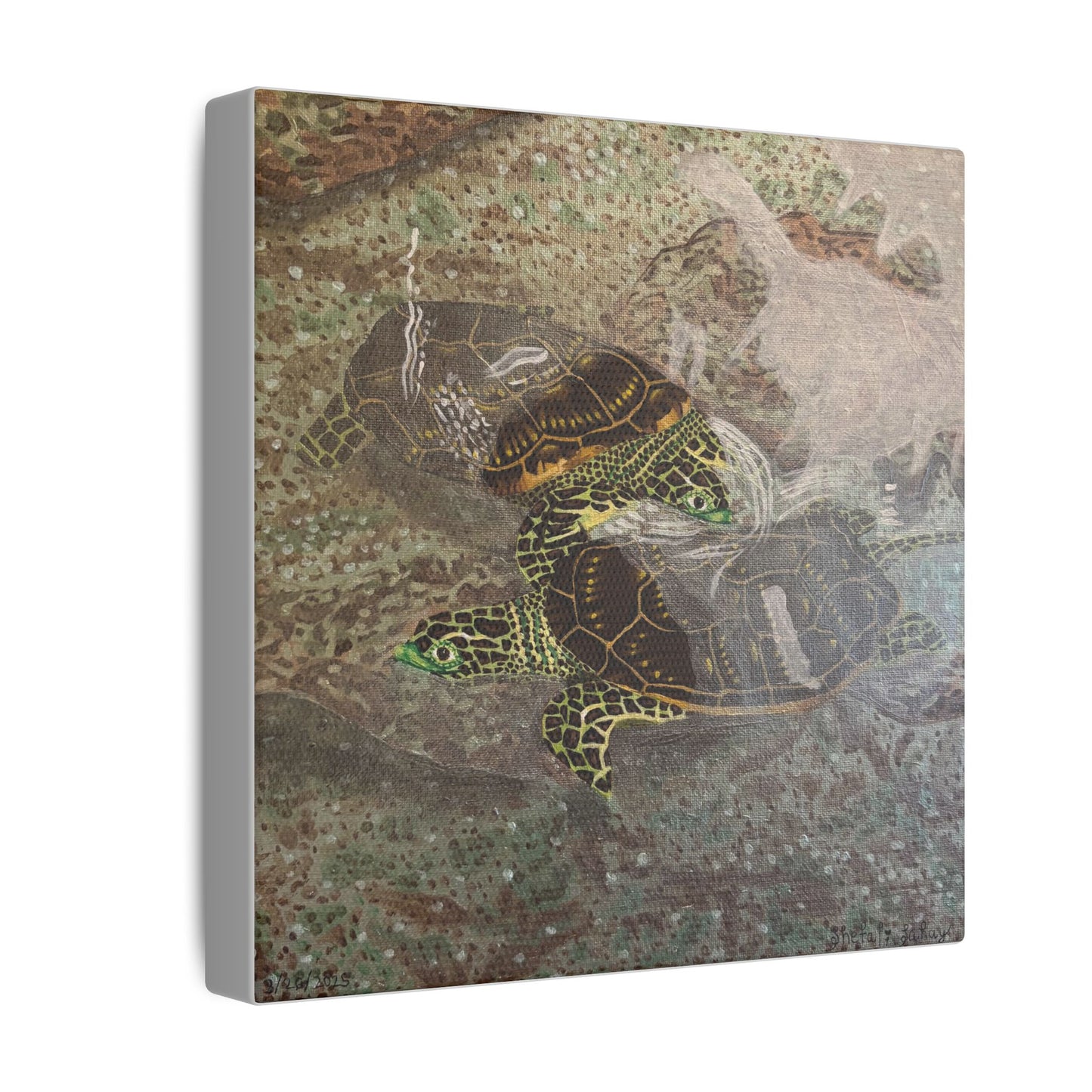 Turtles Budding Each Other | Matte Canvas, Stretched, 0.75"