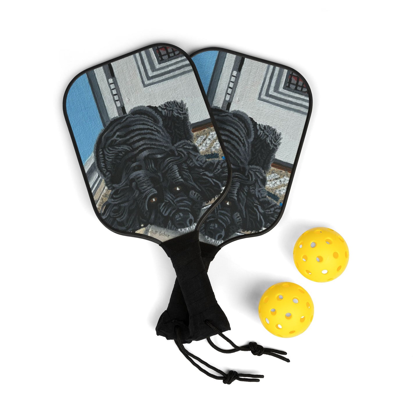 Rocky Chilling On A Corner | Pickleball Kit