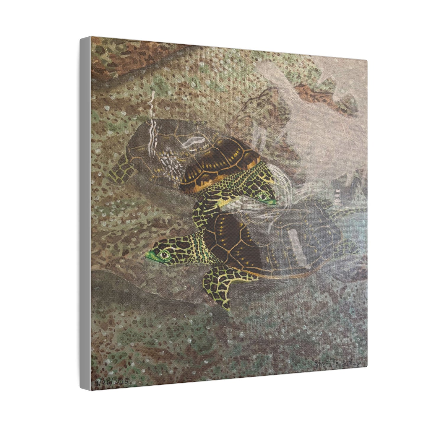 Turtles Budding Each Other | Matte Canvas, Stretched, 0.75"