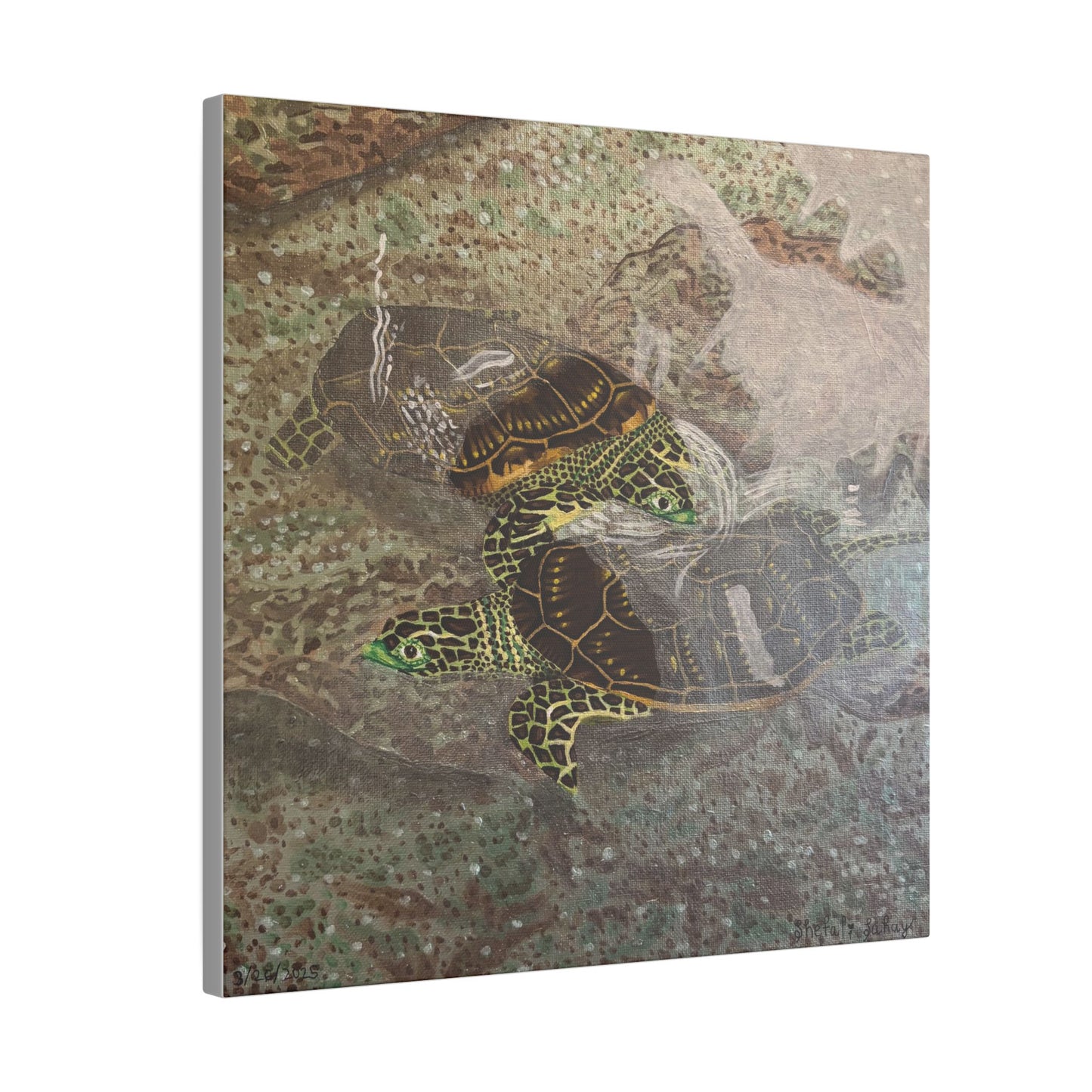 Turtles Budding Each Other | Matte Canvas, Stretched, 0.75"