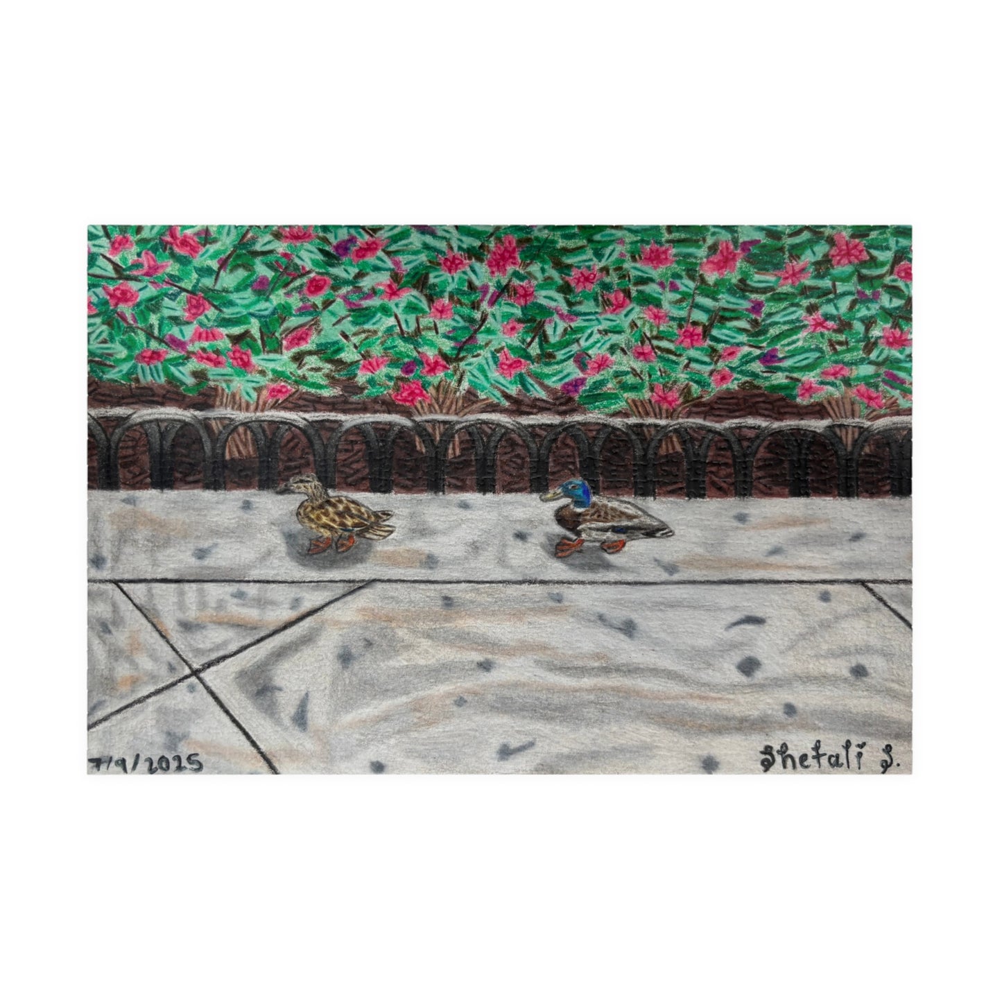 The Sneaky Chase | Puzzle (110, 252, 520, 1014-piece)