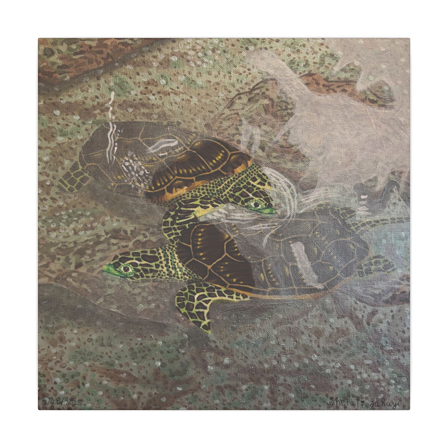 Turtles Budding Each Other | Matte Canvas, Stretched, 0.75"