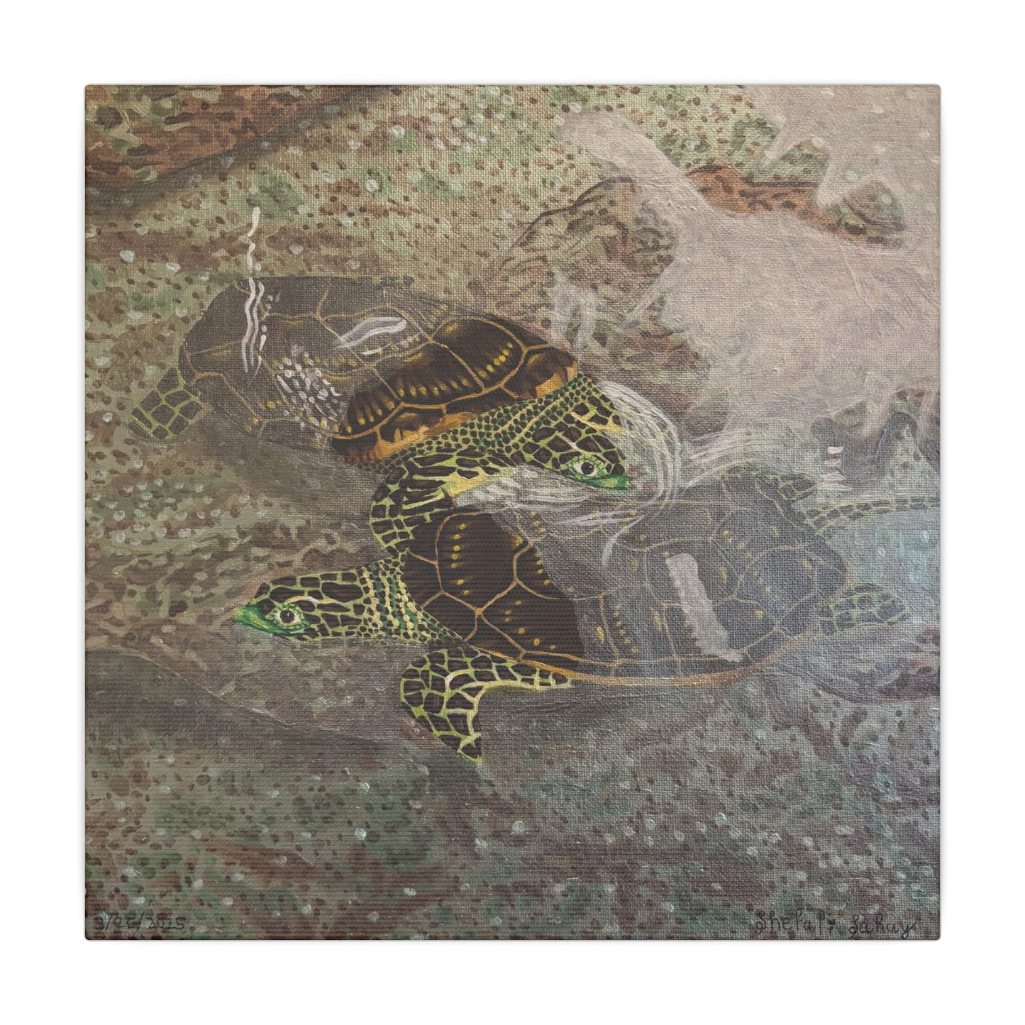 Turtles Budding Each Other | Matte Canvas, Stretched, 0.75"