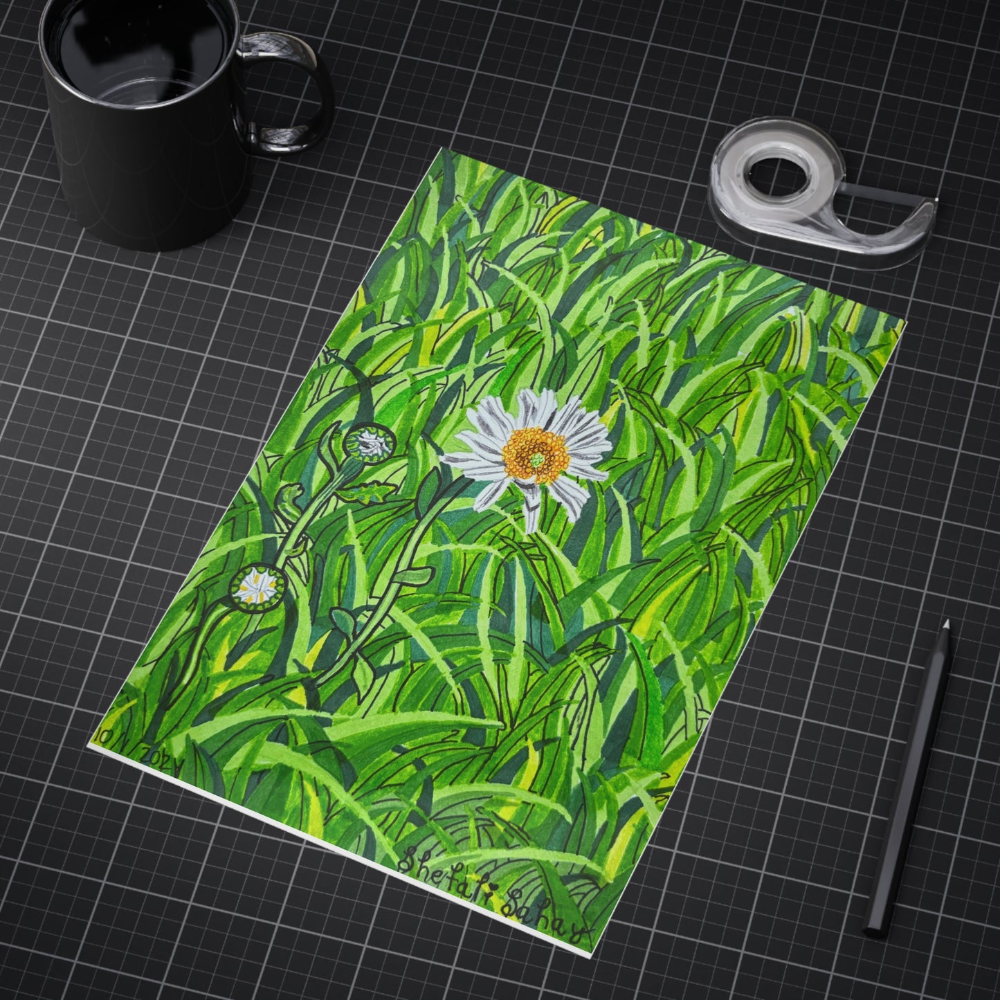 A Daisy In Bloom | Unframed Prints