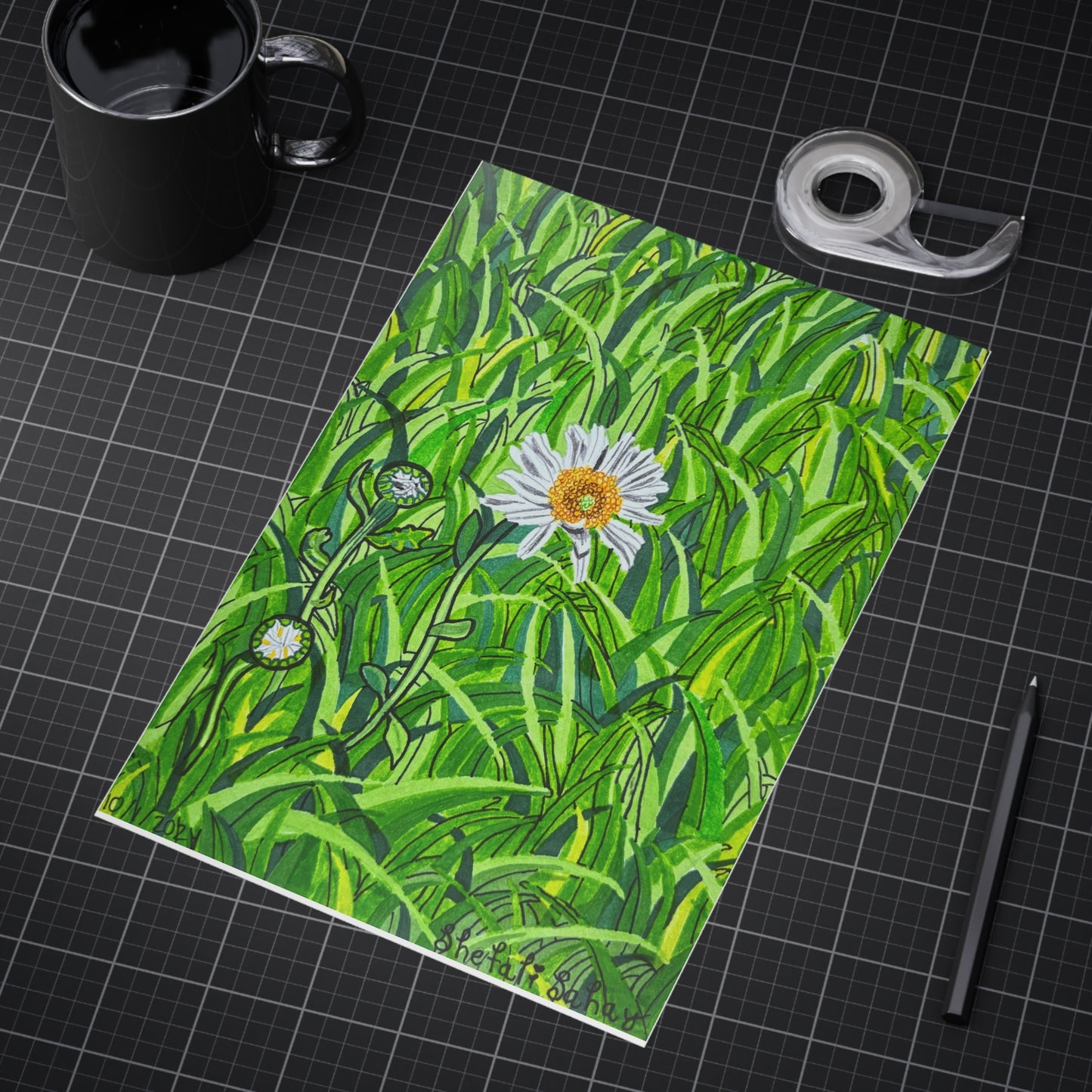 A Daisy In Bloom | Unframed Prints