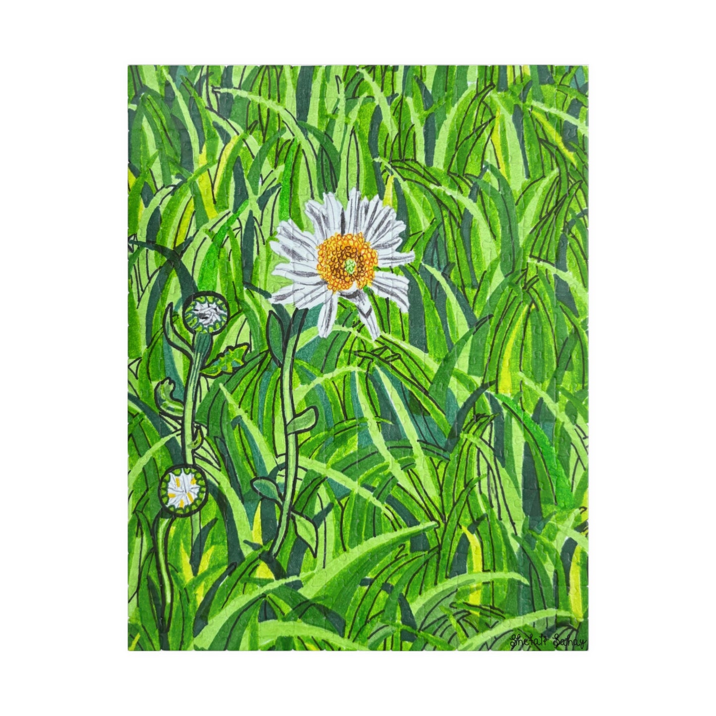 A Daisy In Bloom | Puzzle (110, 252, 520, 1014-piece)