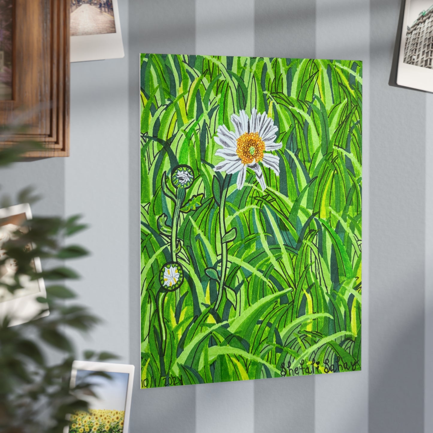 A Daisy In Bloom | Unframed Prints