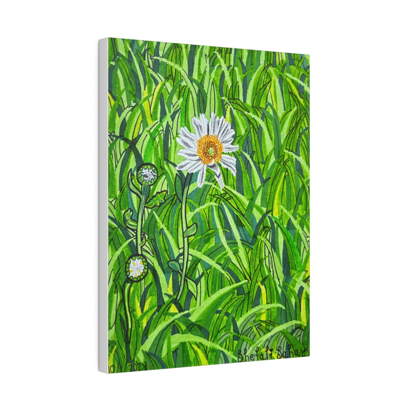 A Daisy In Bloom | Matte Canvas, Stretched, 0.75"