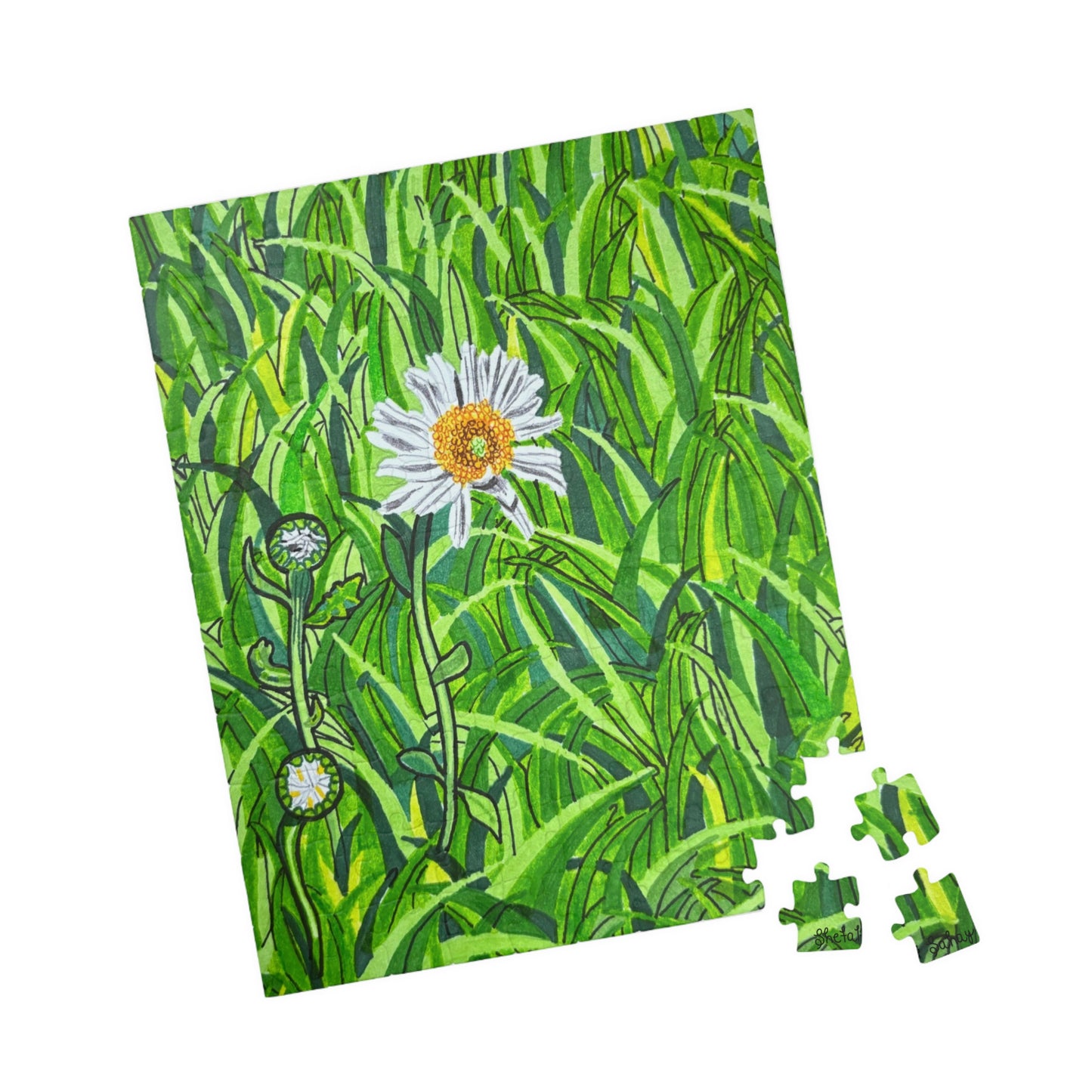 A Daisy In Bloom | Puzzle (110, 252, 520, 1014-piece)