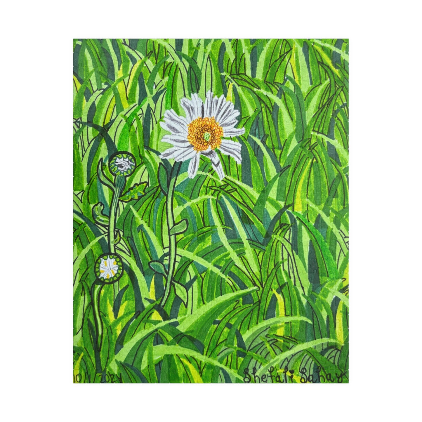 A Daisy In Bloom | Puzzle (110, 252, 520, 1014-piece)