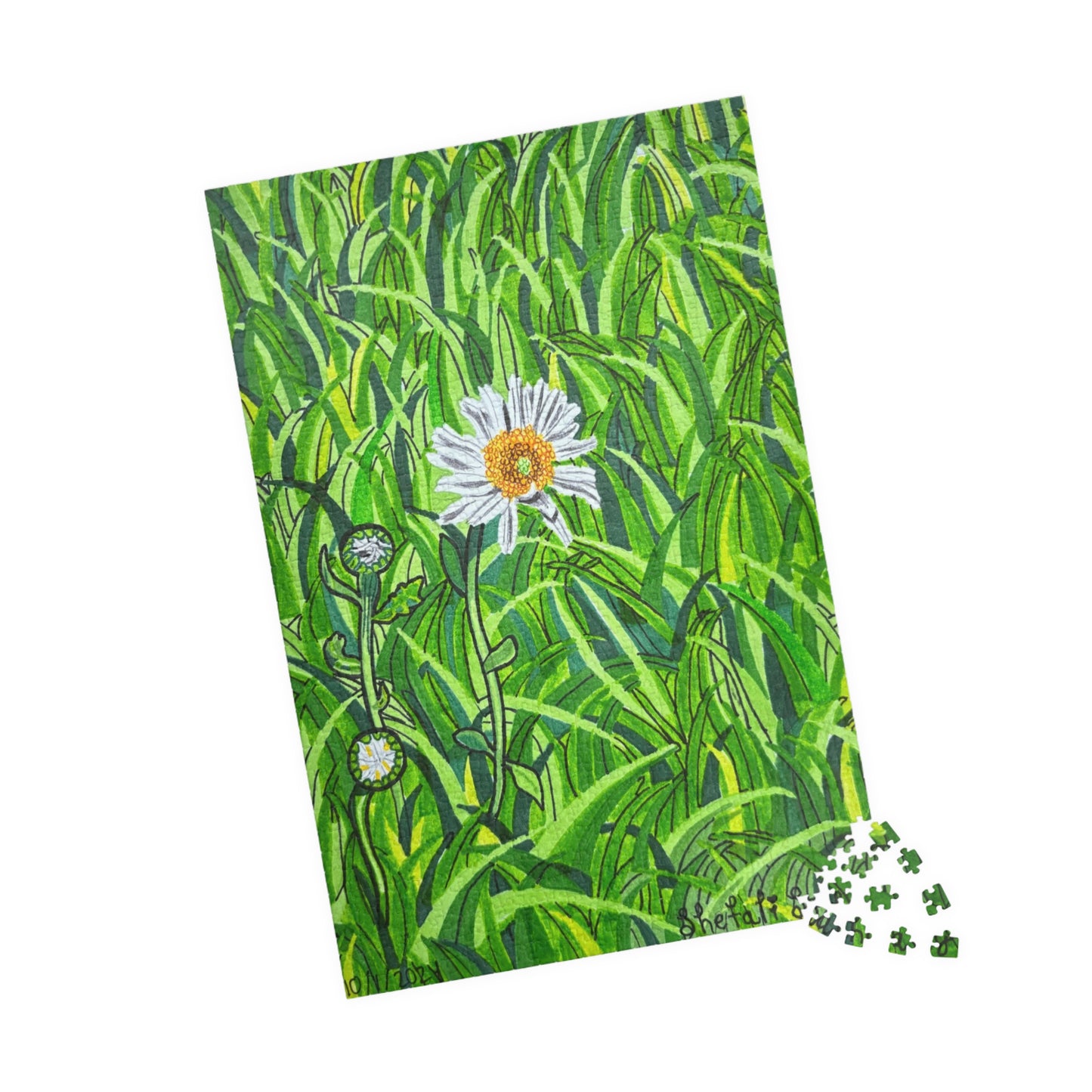 A Daisy In Bloom | Puzzle (110, 252, 520, 1014-piece)