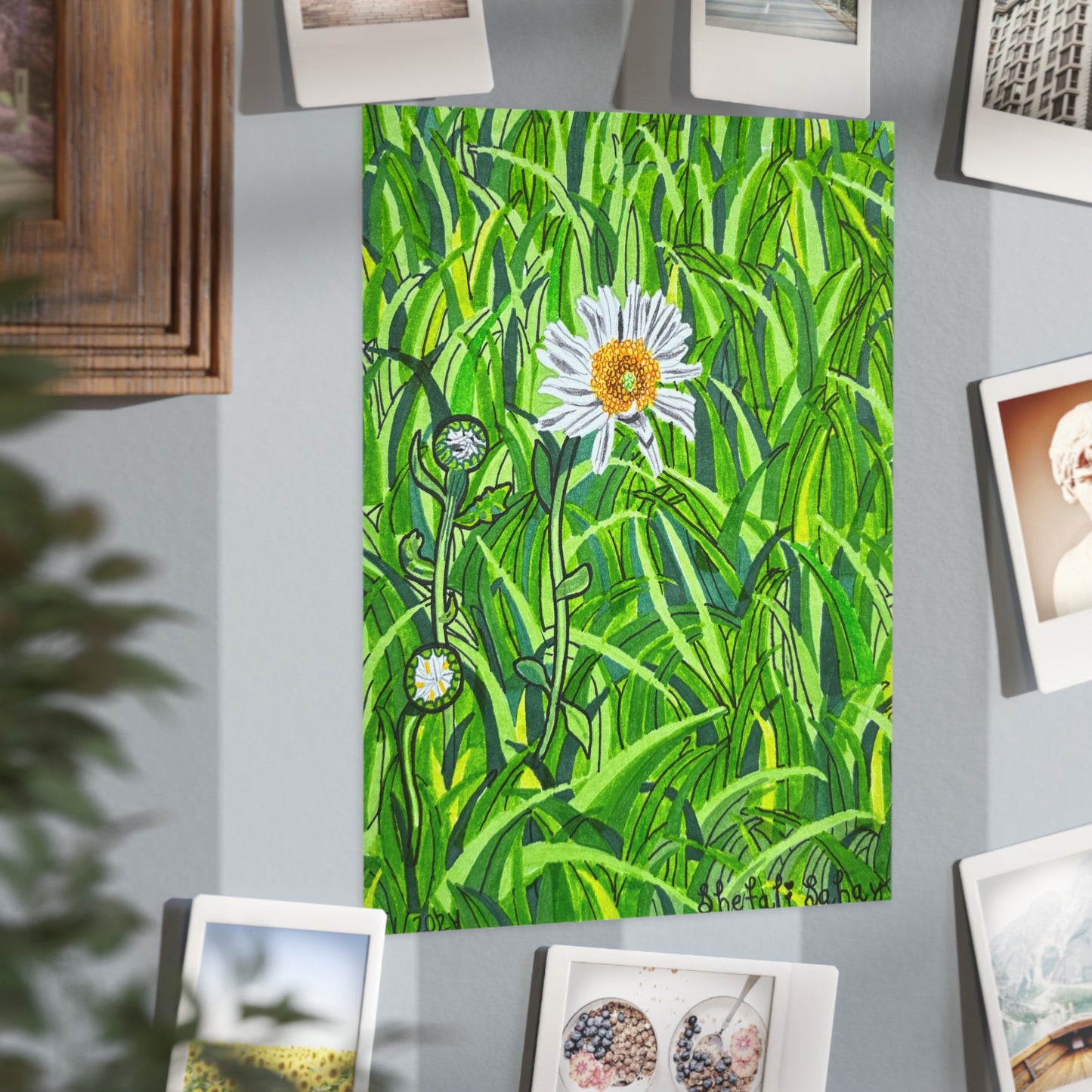 A Daisy In Bloom | Unframed Prints