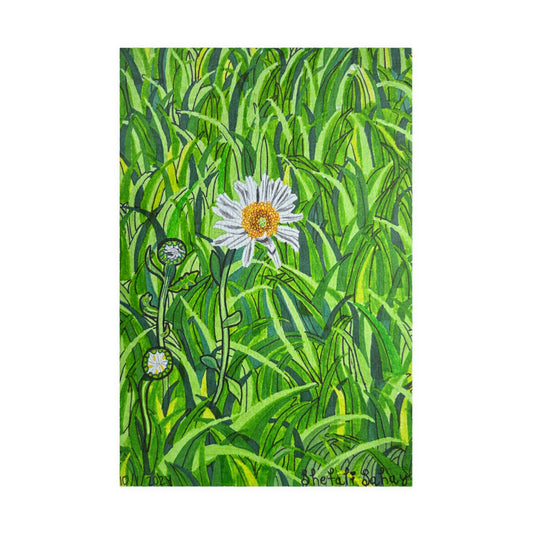 A Daisy In Bloom | Puzzle (110, 252, 520, 1014-piece)