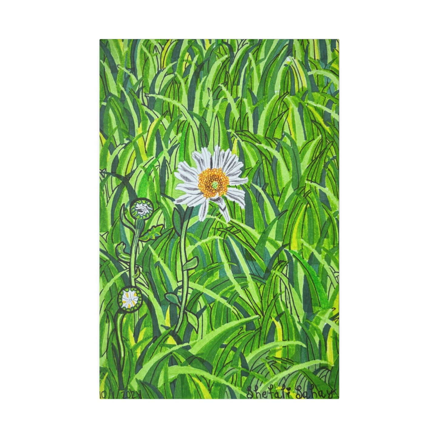 A Daisy In Bloom | Matte Canvas, Stretched, 0.75"