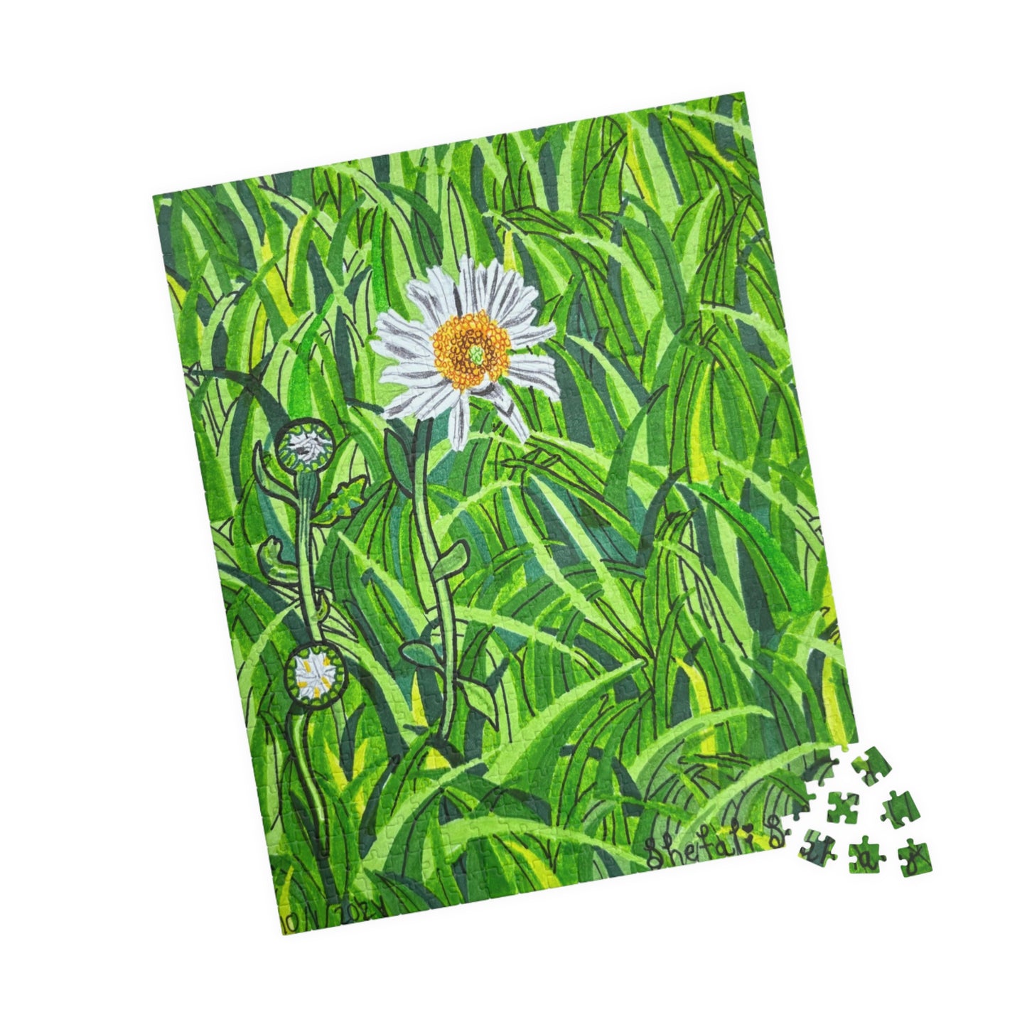 A Daisy In Bloom | Puzzle (110, 252, 520, 1014-piece)