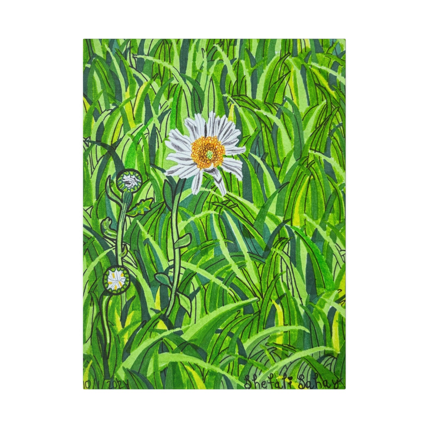 A Daisy In Bloom | Matte Canvas, Stretched, 0.75"