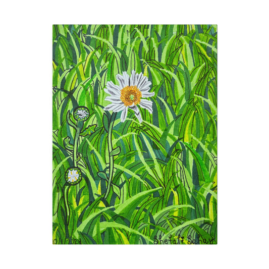 A Daisy In Bloom | Matte Canvas, Stretched, 0.75"