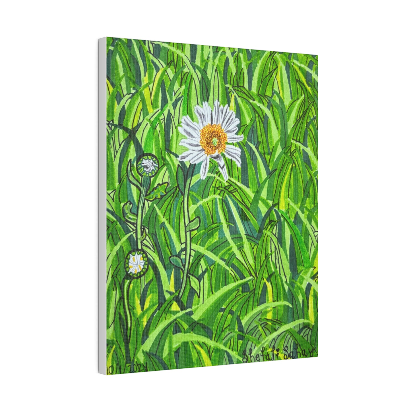 A Daisy In Bloom | Matte Canvas, Stretched, 0.75"