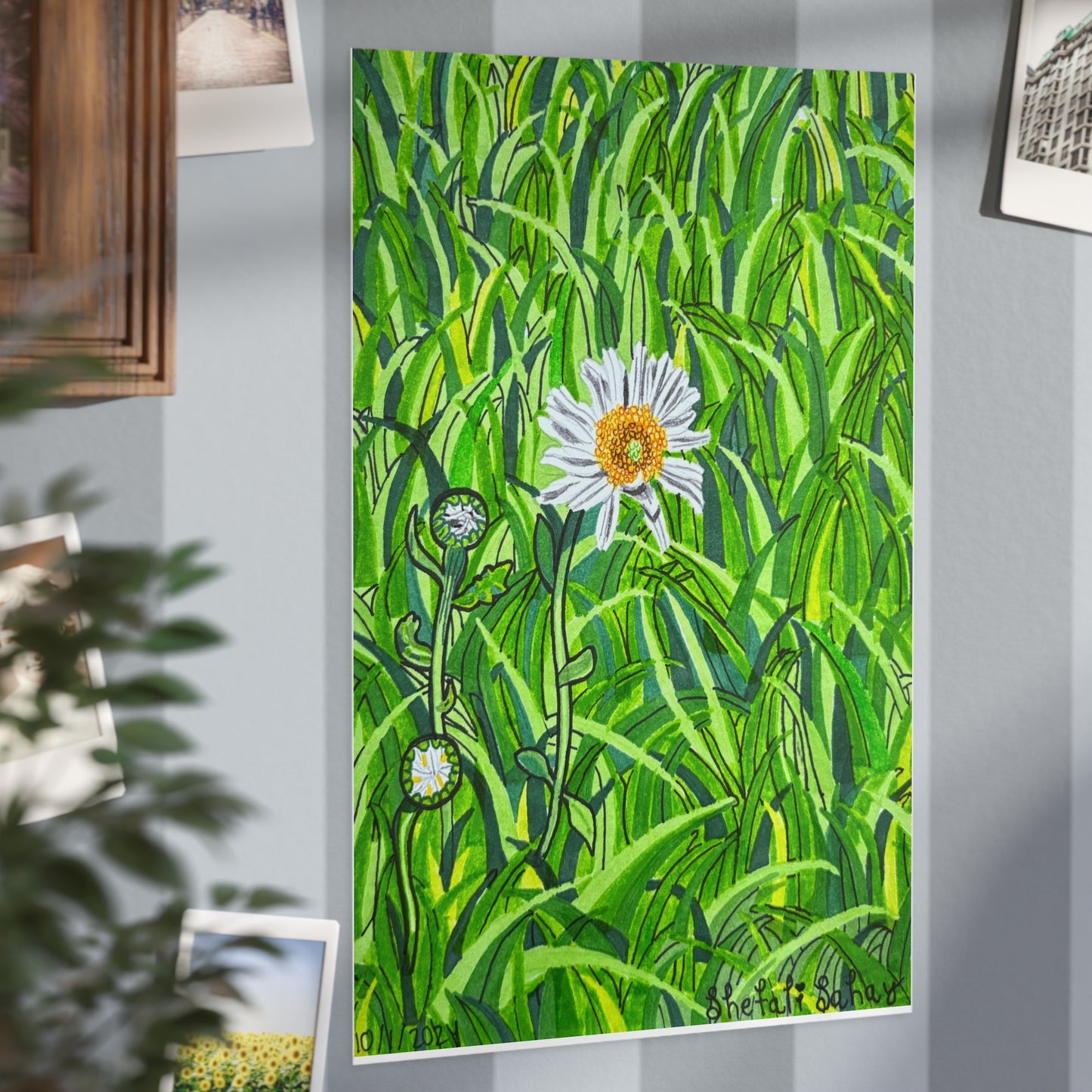 A Daisy In Bloom | Unframed Prints