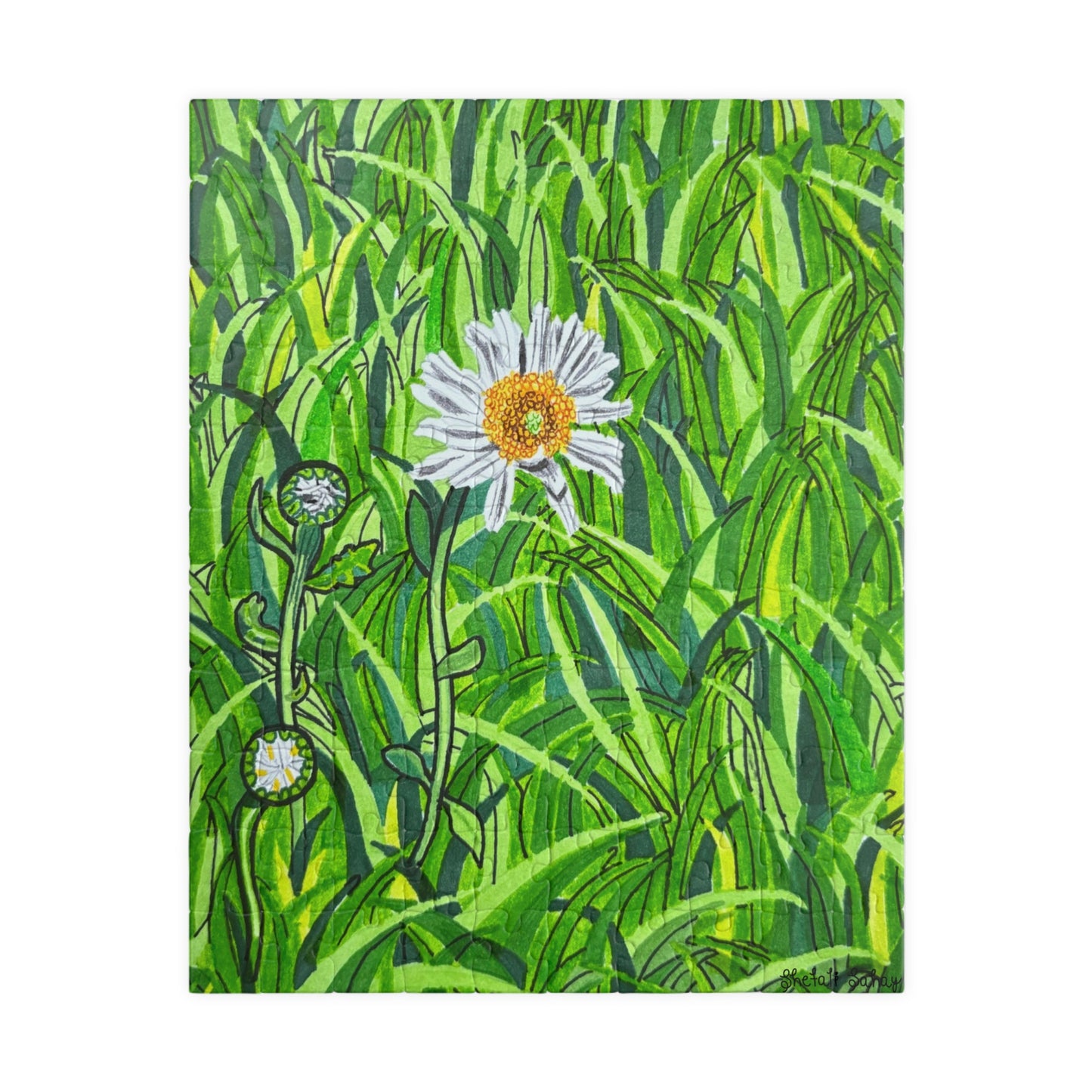 A Daisy In Bloom | Puzzle (110, 252, 520, 1014-piece)